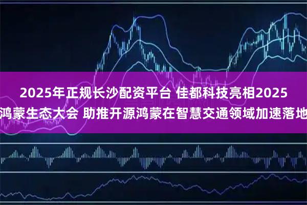 2025年正规长沙配资平台 佳都科技亮相2025鸿蒙生态大会 助推开源鸿蒙在智慧交通领域加速落地