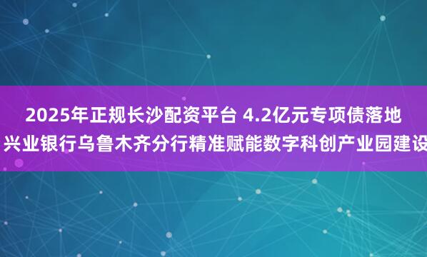 2025年正规长沙配资平台 4.2亿元专项债落地 兴业银行乌鲁木齐分行精准赋能数字科创产业园建设